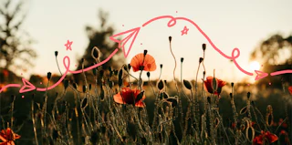 Newsletter best practices: 12 ways to hook your readers (+ top examples)