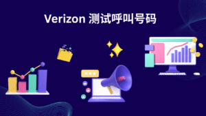 Verizon 测试呼叫号码